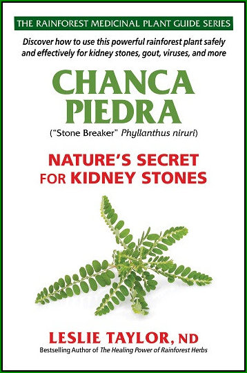 Chanca Piedra - Natur's Secret for Kidney Stones