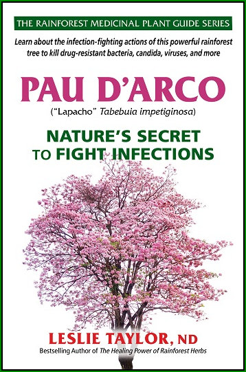Pau d'arco - Nature's Secret to Fight Infections
